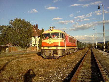 Jden s mimoriadnych vlakov zastavil v stanici Sása-Pliešovce. Do čela vlaku sa postavila "cénula osmička - dvanástka"